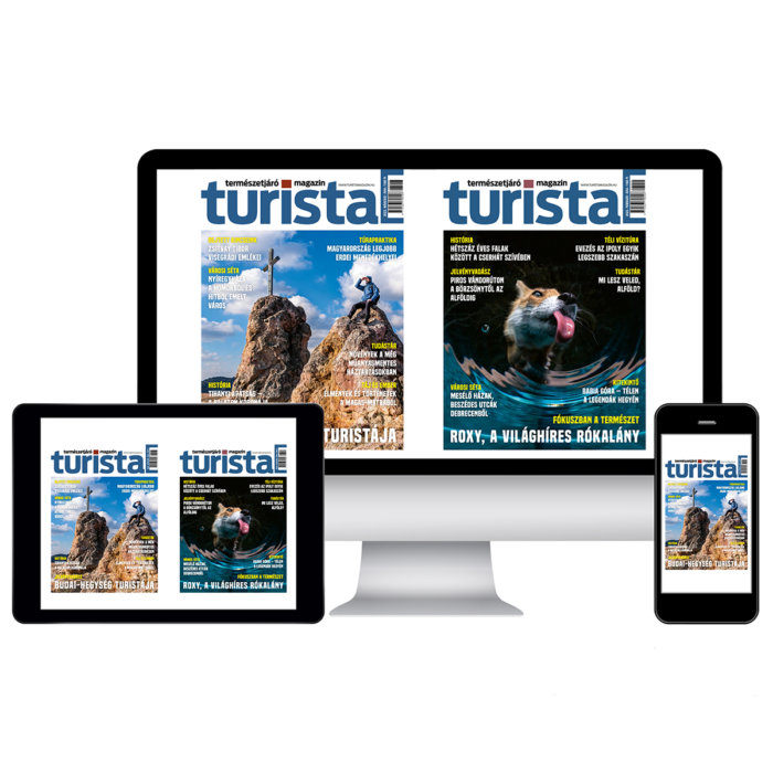 digitális Turista Magazin lapszámokra féléves előfizetés